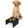 Keaton Modern Acrylic Rectangular Elevated Pet Feeder with 1 Stainless Steel Bowl, Black/Gold - Pet Bowls & Feeders - 3 - thumbnail