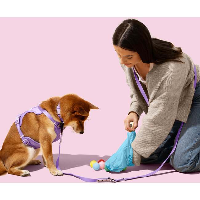 The Licker Store 13 in. x 9 in. Extra Thick Leak Proof Unscented Dog Poop Bags, Blue (300 Count, 20 Rolls)