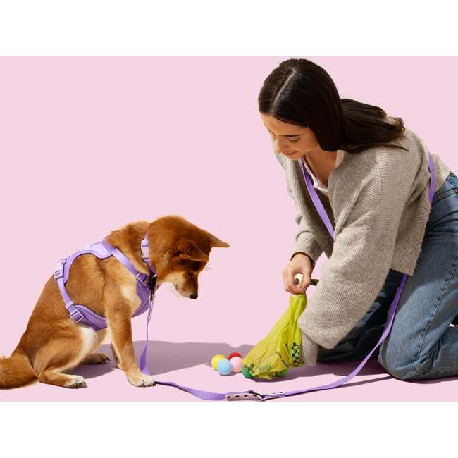 The Licker Store 13 in. x 9 in. Extra Thick Leak Proof Unscented Biodegradable Dog Poop Bags with Rechargeable LED Flashlight Dispenser, Green (120 Count, 8 Rolls)