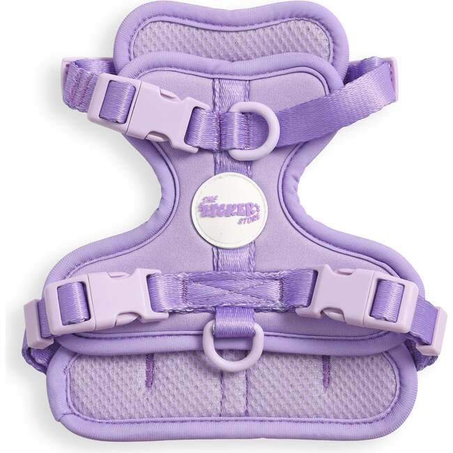 Arlo Adjustable Soft Padded No Pull Pet Harness with 3 Buckles and 3 Leash Clips, Purple