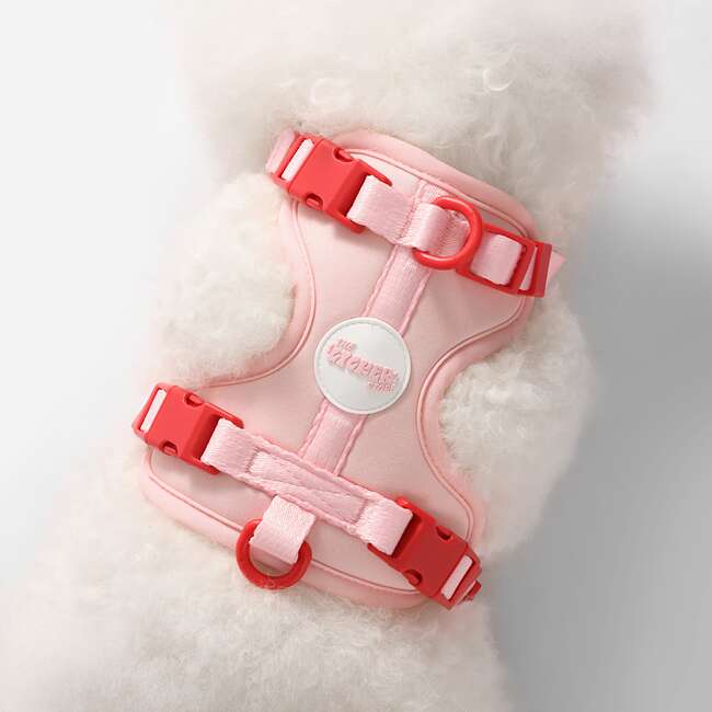 Arlo Adjustable Soft Padded No Pull Pet Harness with 3 Buckles and 3 Leash Clips, Pink - Collars, Leashes & Harnesses - 3