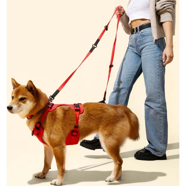 Arlo Adjustable Soft Padded No Pull Pet Harness with 3 Buckles and 3 Leash Clips, Red