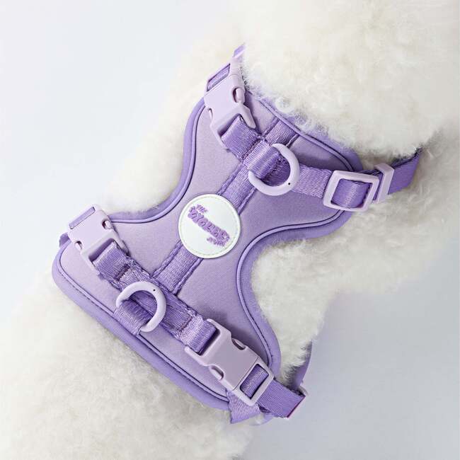 Arlo Adjustable Soft Padded No Pull Pet Harness with 3 Buckles and 3 Leash Clips, Purple - Collars, Leashes & Harnesses - 3