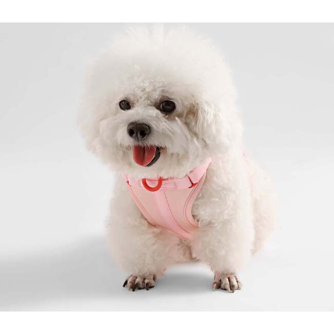 Arlo Adjustable Soft Padded No Pull Pet Harness with 3 Buckles and 3 Leash Clips, Pink - Collars, Leashes & Harnesses - 6