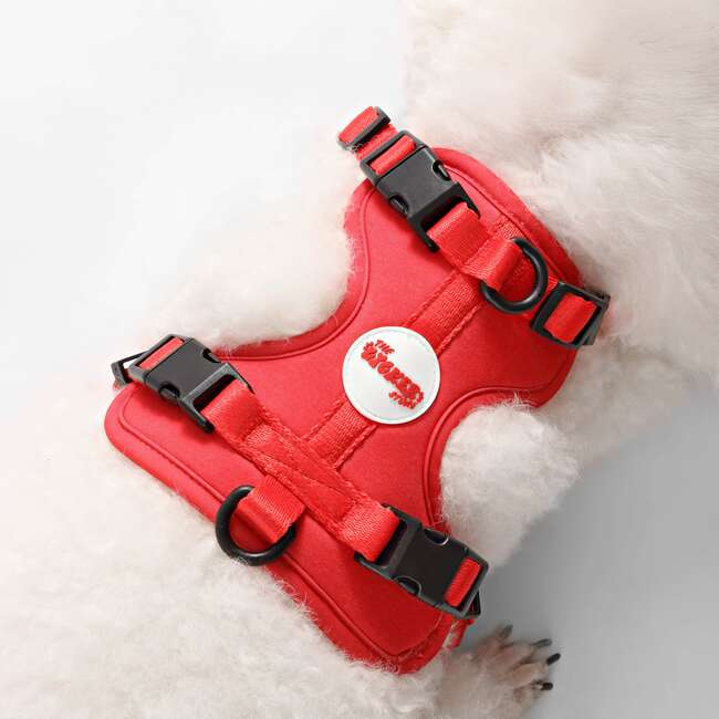 Arlo Adjustable Soft Padded No Pull Pet Harness with 3 Buckles and 3 Leash Clips, Red - Collars, Leashes & Harnesses - 3