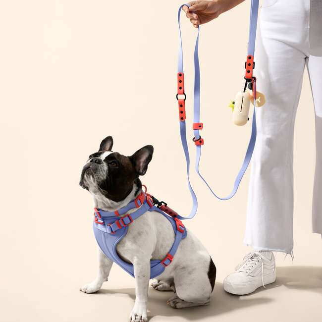 Arlo Adjustable Soft Padded No Pull Pet Harness with 3 Buckles and 3 Leash Clips, Periwinkle