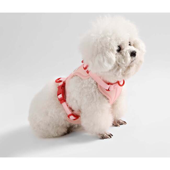 Arlo Adjustable Soft Padded No Pull Pet Harness with 3 Buckles and 3 Leash Clips, Pink - Collars, Leashes & Harnesses - 7