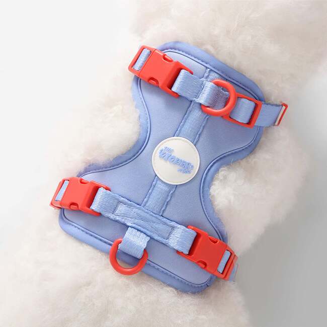 Arlo Adjustable Soft Padded No Pull Pet Harness with 3 Buckles and 3 Leash Clips, Periwinkle - Collars, Leashes & Harnesses - 3