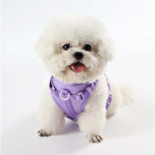 Arlo Adjustable Soft Padded No Pull Pet Harness with 3 Buckles and 3 Leash Clips, Purple - Collars, Leashes & Harnesses - 6