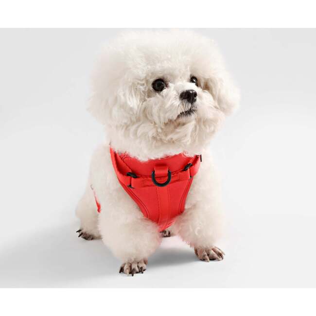 Arlo Adjustable Soft Padded No Pull Pet Harness with 3 Buckles and 3 Leash Clips, Red - Collars, Leashes & Harnesses - 6