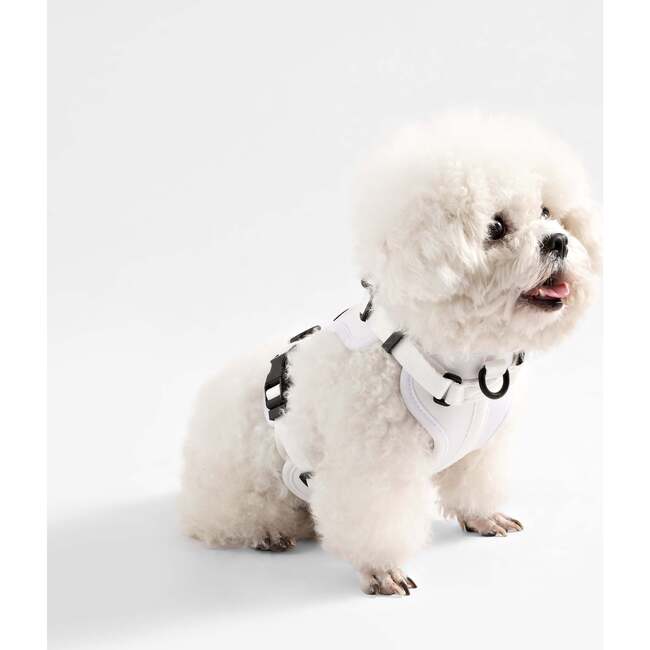 Arlo Adjustable Soft Padded No Pull Pet Harness with 3 Buckles and 3 Leash Clips, White - Collars, Leashes & Harnesses - 7