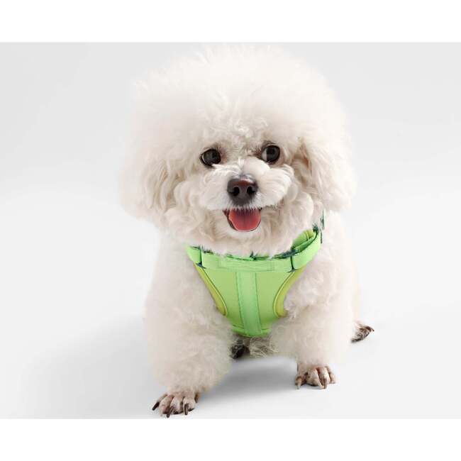 Arlo Adjustable Soft Padded No Pull Pet Harness with 3 Buckles and 3 Leash Clips, Light Green - Collars, Leashes & Harnesses - 6