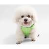 Arlo Adjustable Soft Padded No Pull Pet Harness with 3 Buckles and 3 Leash Clips, Light Green - Collars, Leashes & Harnesses - 6 - thumbnail