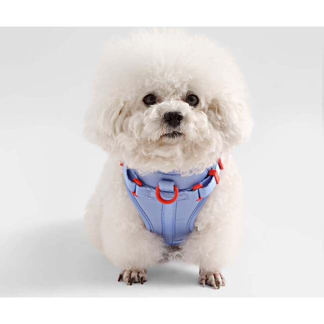 Arlo Adjustable Soft Padded No Pull Pet Harness with 3 Buckles and 3 Leash Clips, Periwinkle - Collars, Leashes & Harnesses - 6