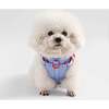 Arlo Adjustable Soft Padded No Pull Pet Harness with 3 Buckles and 3 Leash Clips, Periwinkle - Collars, Leashes & Harnesses - 6 - thumbnail