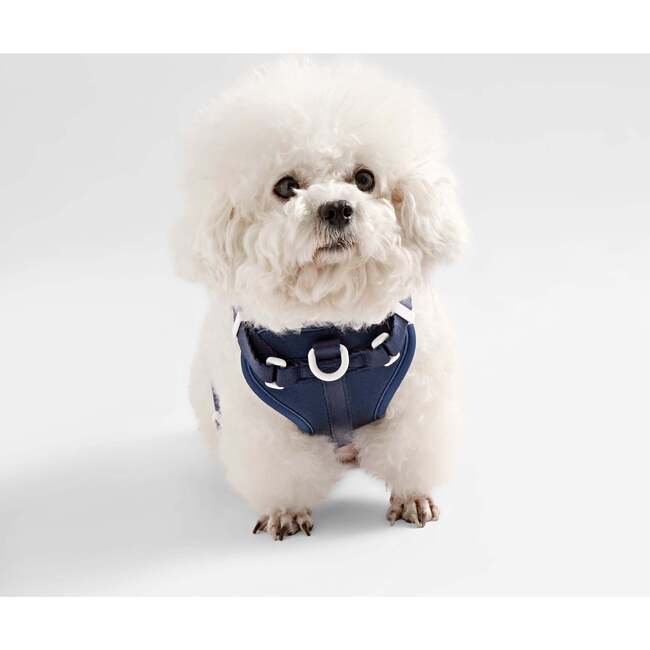 Arlo Adjustable Soft Padded No Pull Pet Harness with 3 Buckles and 3 Leash Clips, Navy - Collars, Leashes & Harnesses - 6