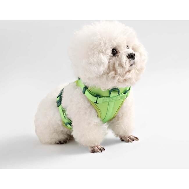 Arlo Adjustable Soft Padded No Pull Pet Harness with 3 Buckles and 3 Leash Clips, Light Green - Collars, Leashes & Harnesses - 7