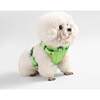 Arlo Adjustable Soft Padded No Pull Pet Harness with 3 Buckles and 3 Leash Clips, Light Green - Collars, Leashes & Harnesses - 7 - thumbnail