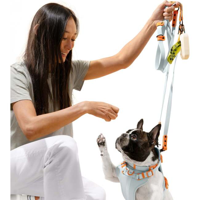 Arlo Adjustable Soft Padded No Pull Pet Harness with 3 Buckles and 3 Leash Clips, Light Blue