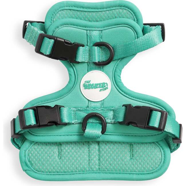 Arlo Adjustable Soft Padded No Pull Pet Harness with 3 Buckles and 3 Leash Clips, Emerald
