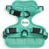 Arlo Adjustable Soft Padded No Pull Pet Harness with 3 Buckles and 3 Leash Clips, Emerald - Collars, Leashes & Harnesses - 1 - thumbnail