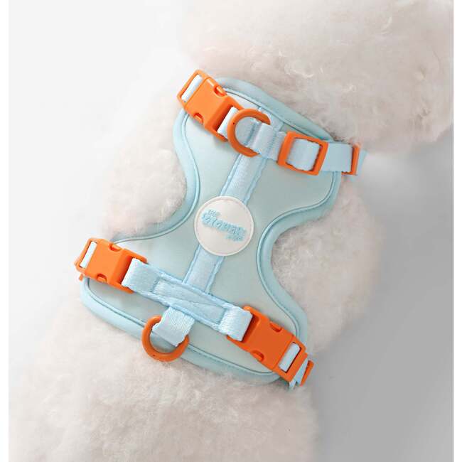 Arlo Adjustable Soft Padded No Pull Pet Harness with 3 Buckles and 3 Leash Clips, Light Blue - Collars, Leashes & Harnesses - 3