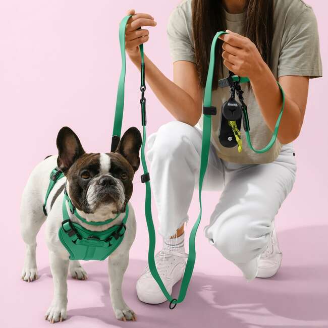 Arlo Adjustable Soft Padded No Pull Pet Harness with 3 Buckles and 3 Leash Clips, Emerald