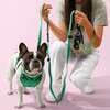 Arlo Adjustable Soft Padded No Pull Pet Harness with 3 Buckles and 3 Leash Clips, Emerald - Collars, Leashes & Harnesses - 2 - thumbnail