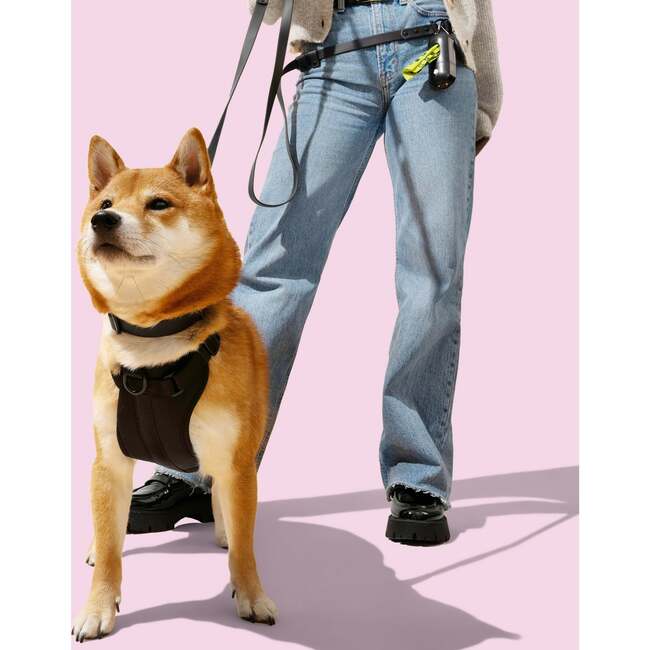 Arlo Adjustable Soft Padded No Pull Pet Harness with 3 Buckles and 3 Leash Clips, Black