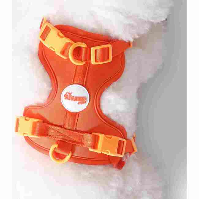 Arlo Adjustable Soft Padded No Pull Pet Harness with 3 Buckles and 3 Leash Clips, Dark Orange - Collars, Leashes & Harnesses - 3