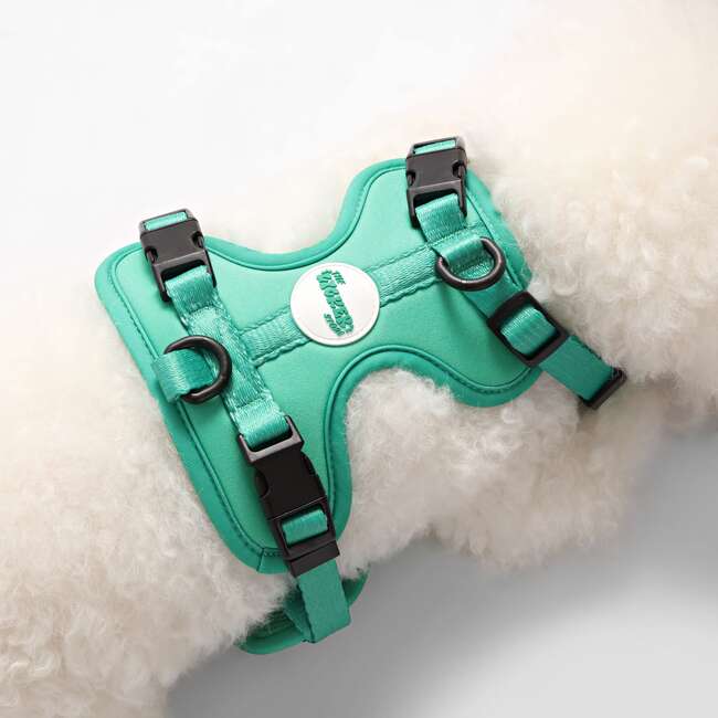 Arlo Adjustable Soft Padded No Pull Pet Harness with 3 Buckles and 3 Leash Clips, Emerald - Collars, Leashes & Harnesses - 3