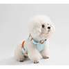 Arlo Adjustable Soft Padded No Pull Pet Harness with 3 Buckles and 3 Leash Clips, Light Blue - Collars, Leashes & Harnesses - 7 - thumbnail