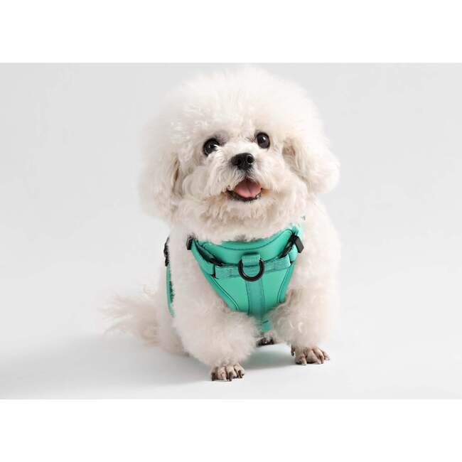 Arlo Adjustable Soft Padded No Pull Pet Harness with 3 Buckles and 3 Leash Clips, Emerald - Collars, Leashes & Harnesses - 6