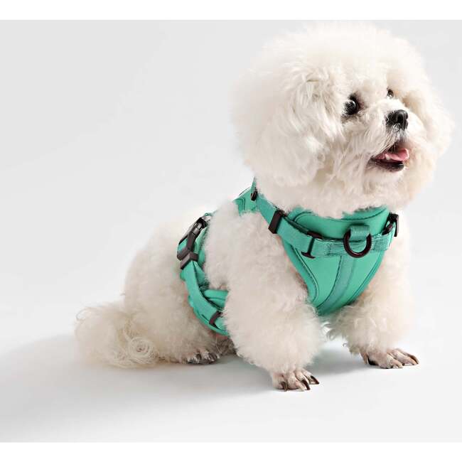 Arlo Adjustable Soft Padded No Pull Pet Harness with 3 Buckles and 3 Leash Clips, Emerald - Collars, Leashes & Harnesses - 7