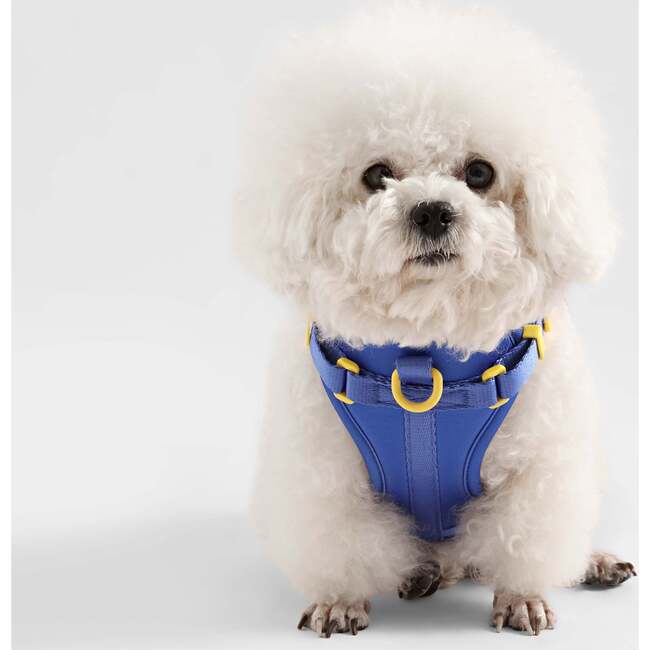 Arlo Adjustable Soft Padded No Pull Pet Harness with 3 Buckles and 3 Leash Clips, Dark Blue - Collars, Leashes & Harnesses - 6