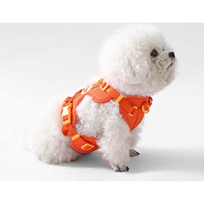 Arlo Adjustable Soft Padded No Pull Pet Harness with 3 Buckles and 3 Leash Clips, Dark Orange - Collars, Leashes & Harnesses - 7