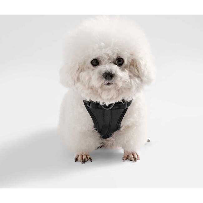 Arlo Adjustable Soft Padded No Pull Pet Harness with 3 Buckles and 3 Leash Clips, Black - Collars, Leashes & Harnesses - 6