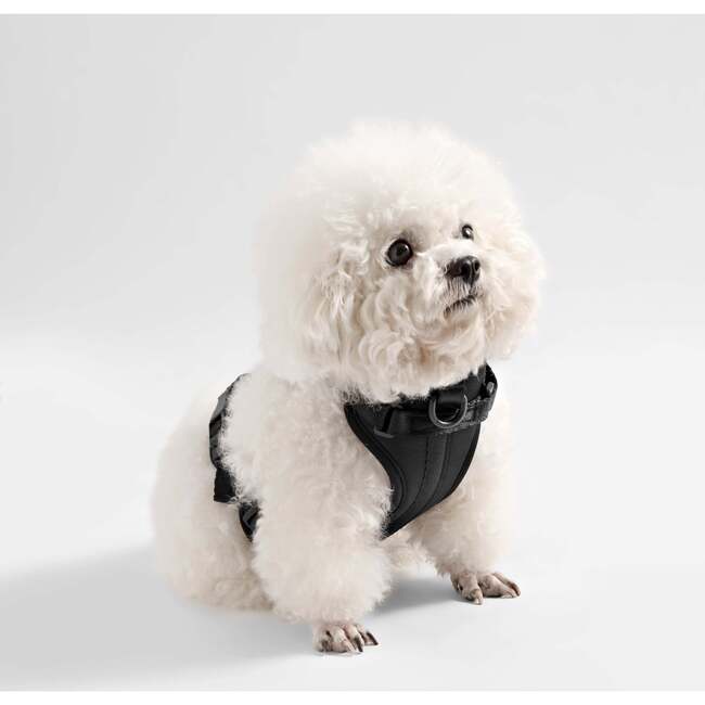 Arlo Adjustable Soft Padded No Pull Pet Harness with 3 Buckles and 3 Leash Clips, Black - Collars, Leashes & Harnesses - 7