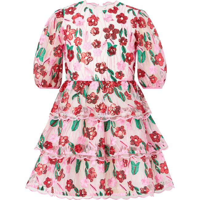 Shyla Embroidered Mini Dress, Floral