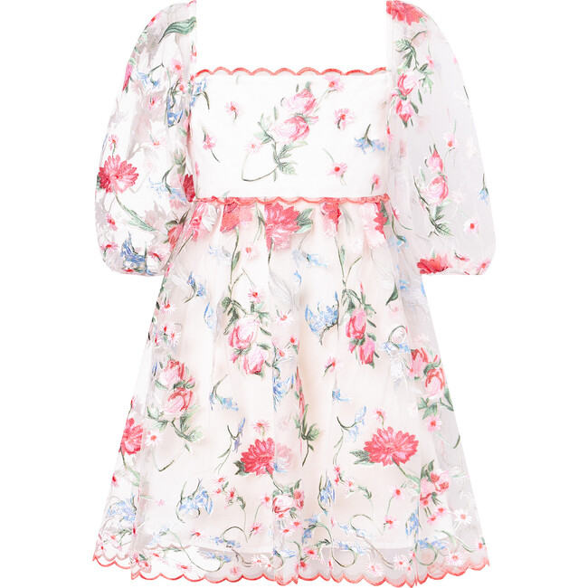 Lillia Embroidered Mini Dress, Floral