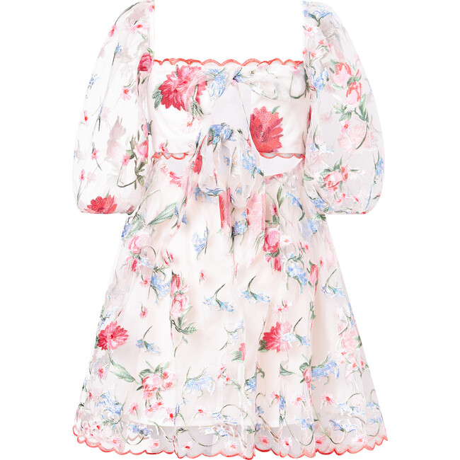 Lillia Embroidered Mini Dress, Floral