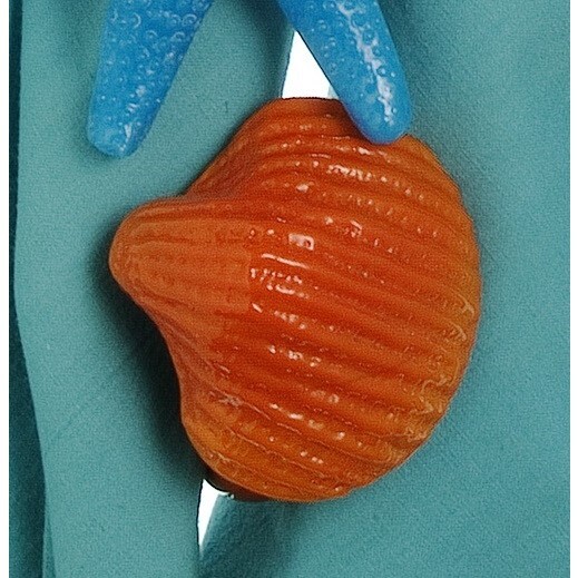 Orange Scallop Shell Napkin Ring, Set of 6