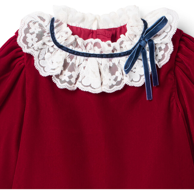 The Velvet Lace Collar Dress