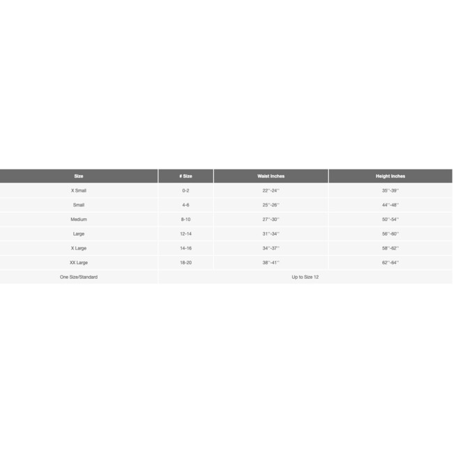 Light Up Purple Fairy  Costume