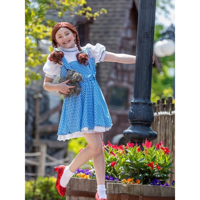 Wizard of Oz Dorothy Deluxe