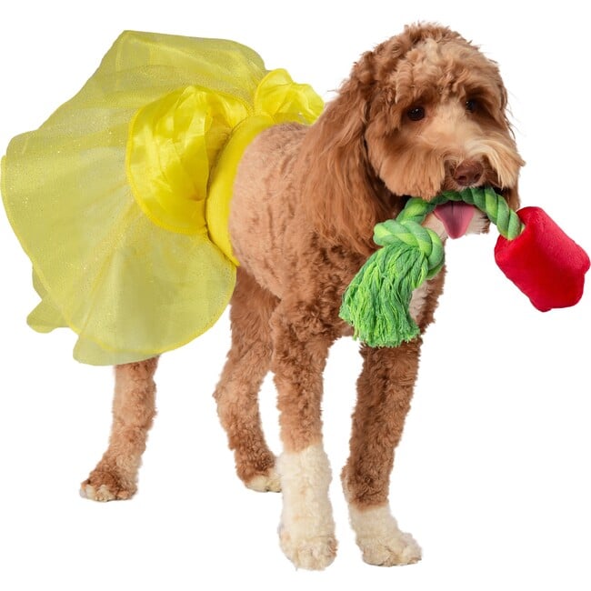 Beauty And the Beast Belle Pet Toy Bundle