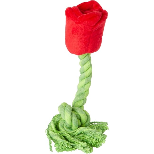 Beauty And the Beast Belle Pet Toy Bundle