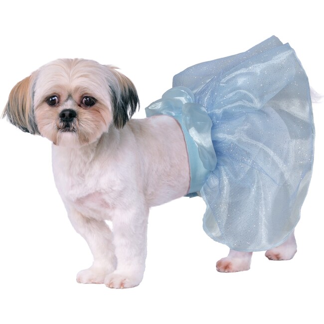 Cinderella Pet Toy Bundle
