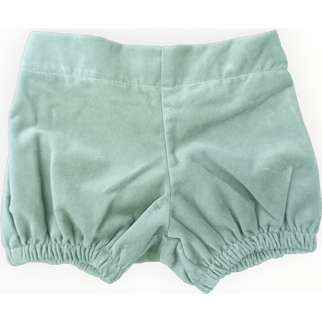 Velvet Bloomer in Spruce