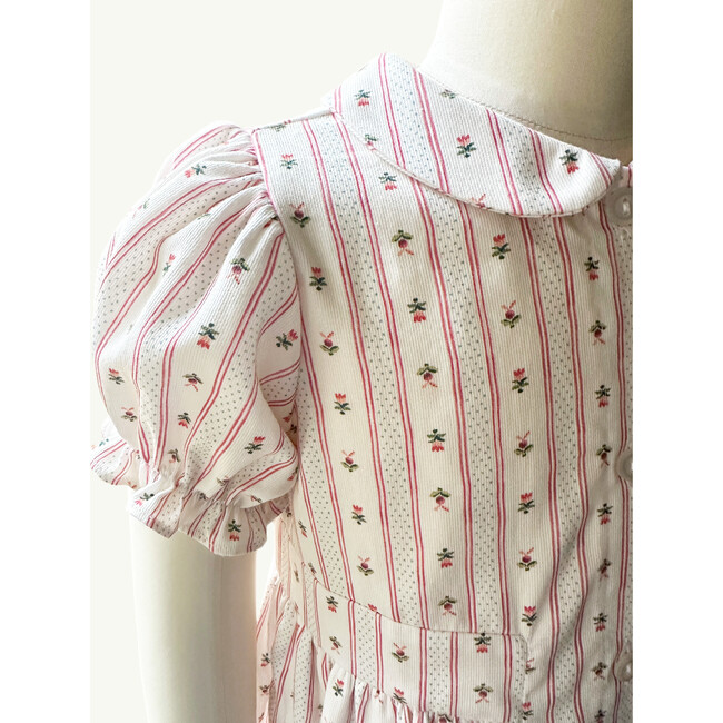 Charlotte Dress in Holiday Dot Stripe